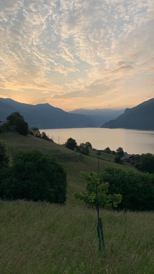 Hotel Roessli Oberried am Brienzersee Екстер'єр фото